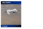 UAV Gray Eagle data sheet